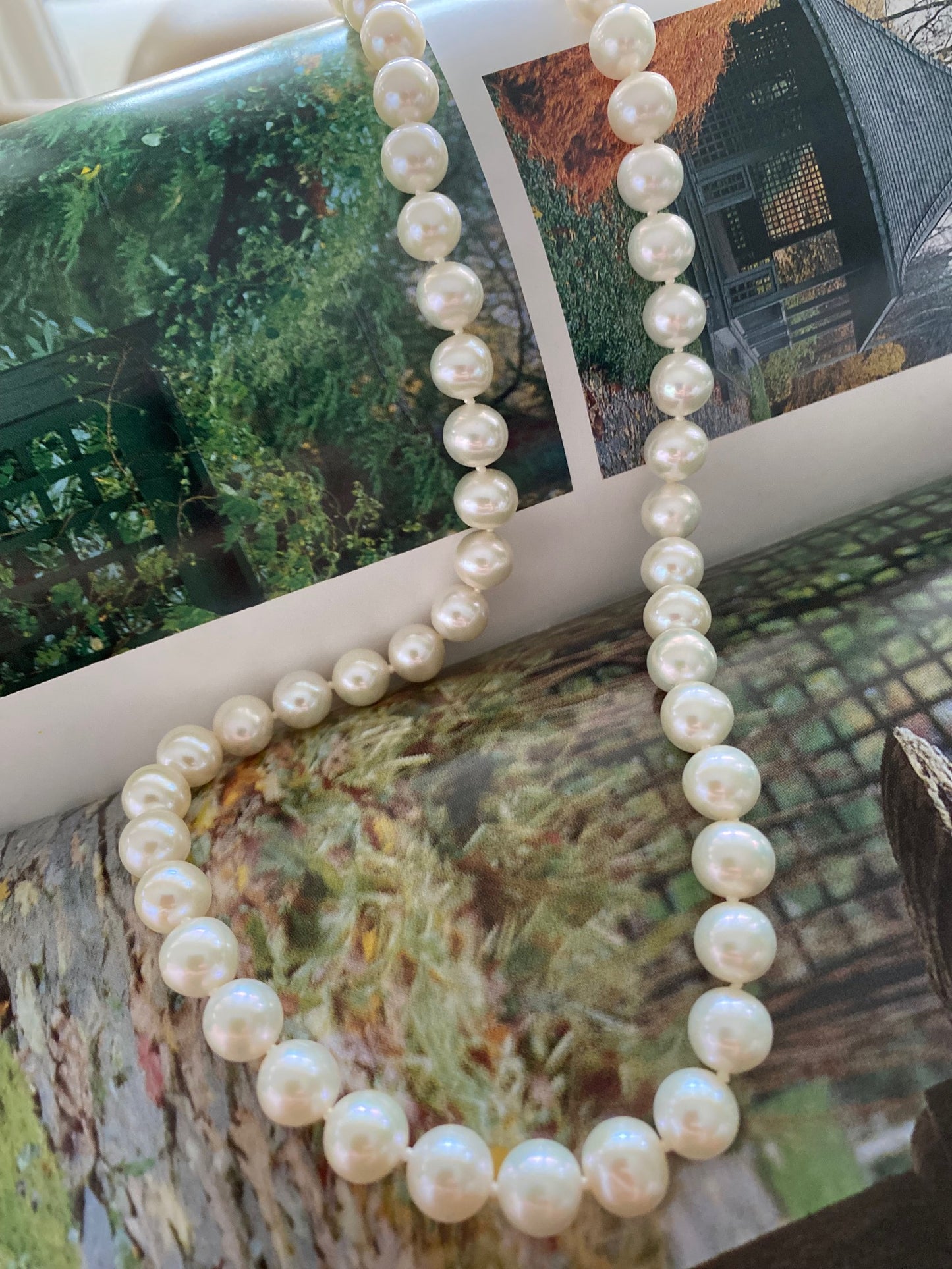 Pearl Strand Necklace