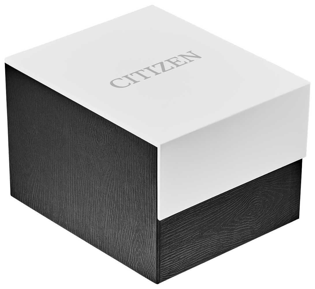 CITIZEN - Quartz BF2005-54L