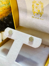 Load image into Gallery viewer, Diamond Cluster Earrings
