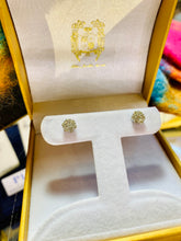 Load image into Gallery viewer, Diamond Cluster Earrings
