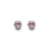 Load image into Gallery viewer, Silver Halo Birthstone Earrings
